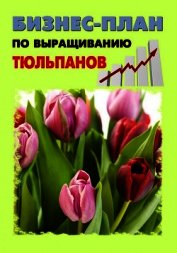 Бизнес-план по выращиванию тюльпанов