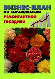 Бизнес-план по выращиванию ремонтантной гвоздики