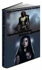 Предназначение. Камень Давида (СИ)