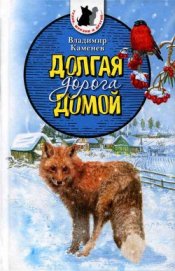 Книга Долгая дорога домой (сборник) с илл. Долгая дорога домой (сборник) с илл.