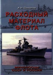 Расходный материал флота. Миноносцы СССР и России