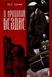 В Иродовой Бездне (книга 3)