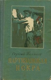 Книга Партизанская искра Партизанская искра