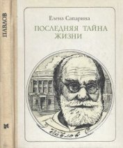 Книга Последняя тайна жизни (Этюды о творчестве) Последняя тайна жизни (Этюды о творчестве)