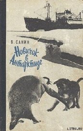 Книга Новичок в Антарктиде Новичок в Антарктиде