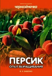 Персик. Опыт выращивания