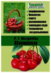 Вишня