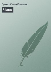 Чинк