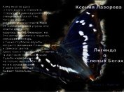 Легенда о Слепых Богах. Книга 1. Часть 1 (СИ)