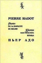 Плотин, или простота взгляда