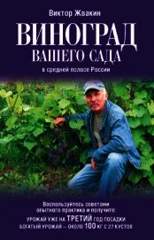Виноград вашего сада в средней полосе России