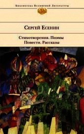Железный Миргород (очерки об Америке)