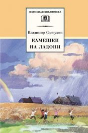 Книга Камешки на ладони Камешки на ладони