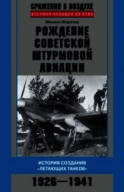 Книга Рождение советской штурмовой авиации. История создания «летающих танков». 1926–1941 Рождение советской штурмовой авиации. История создания «летающих танков». 1926–1941