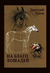 На благо лошадей. Очерки иппические