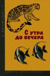 Книга С утра до вечера С утра до вечера
