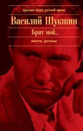 Книга Брат мой... Брат мой...