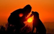 Книга Крик души или Юношеский максимализм (СИ) Крик души или Юношеский максимализм (СИ)