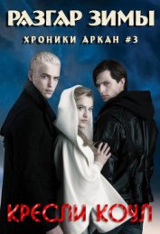 Книга Разгар зимы Разгар зимы