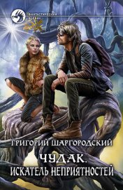 Чудак. Неправильный вор