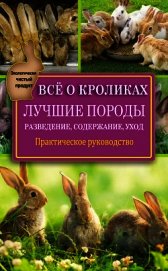 Книга Всё о кроликах: разведение, содержание, уход. Практическое руководство Всё о кроликах: разведение, содержание, уход. Практическое руководство