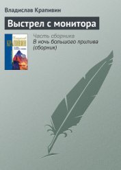 Выстрел с монитора