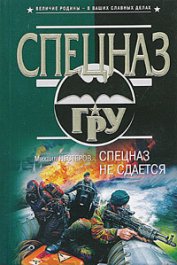 Нестеров Михаил Петрович - Спецназ не сдается