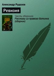 Ревизия