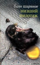 Книга Низший пилотаж Низший пилотаж