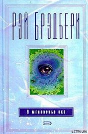 Книга В мгновение ока В мгновение ока