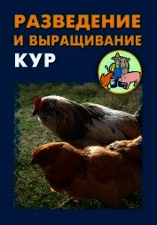 Разведение и выращивание кур
