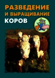 Разведение и выращивание коров