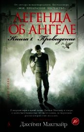 Легенда об ангеле. Книга 1. Провидение