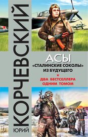 Корчевский Юрий Григорьевич - Асы. «Сталинские соколы» из будущего