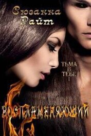 Книга Воспламеняющий (ЛП) Воспламеняющий (ЛП)