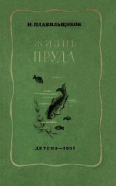 Жизнь пруда