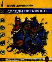 Соседи по планете. Насекомые