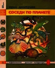Соседи по планете Земноводные и пресмыкающиеся