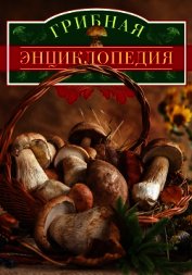 Книга Грибная энциклопедия Грибная энциклопедия