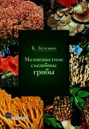 Книга Малоизвестные съедобные грибы Малоизвестные съедобные грибы