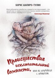 Шапиро-Тулин Борис - Происшествие исключительной важности, или Из Бобруйска с приветом