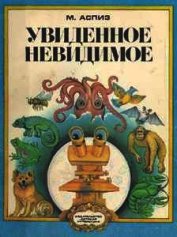 Увиденное невидимое