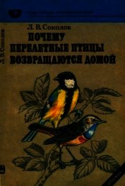 Книга Почему перелетные птицы возвращаются домой Почему перелетные птицы возвращаются домой