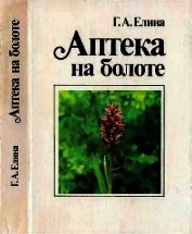 Аптека на болоте