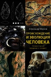 Происхождение и эволюция человека. Доклад в Институте Биологии Развития РАН 19 марта 2009 г.