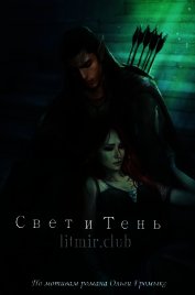 Книга Свет и Тень (СИ) Свет и Тень (СИ)
