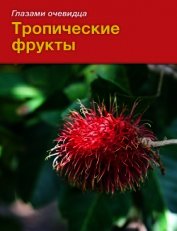 Книга Тропические фрукты Тропические фрукты