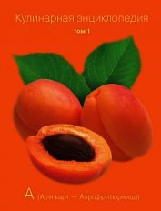 Книга Кулинарная энциклопедия. Том 1. А (А ля карт – Аэрофритюрница) Кулинарная энциклопедия. Том 1. А (А ля карт – Аэрофритюрница)