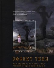 Эффект тени. Как обратить во благо силу темных сторон вашей души