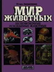 Книга Беспозвоночные. Ископаемые животные Беспозвоночные. Ископаемые животные